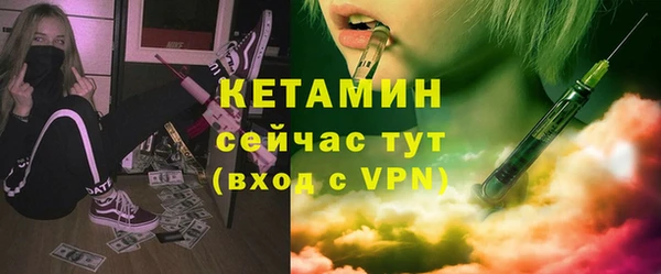 шишки Арсеньев