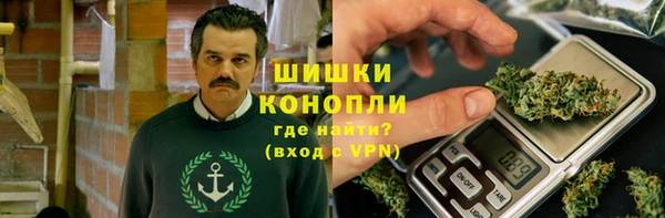 шишки Арсеньев