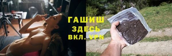 шишки Арсеньев