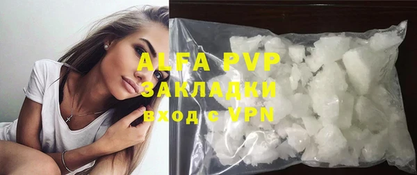 шишки Арсеньев