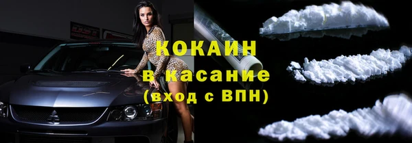 шишки Арсеньев