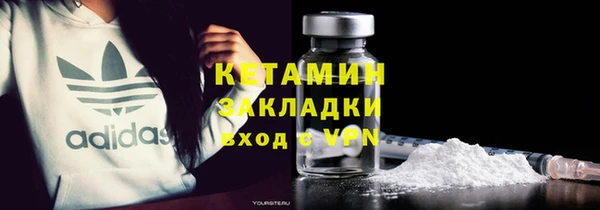 шишки Арсеньев