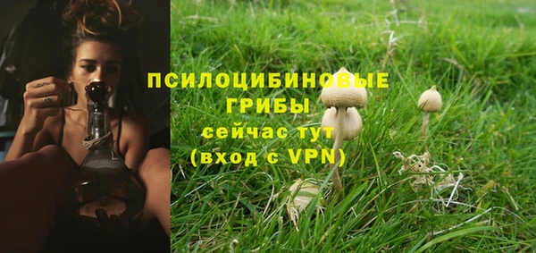 шишки Арсеньев