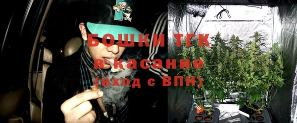 шишки Арсеньев