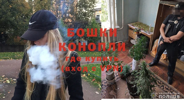 шишки Арсеньев