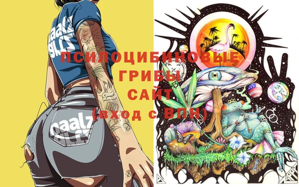 герыч Аркадак