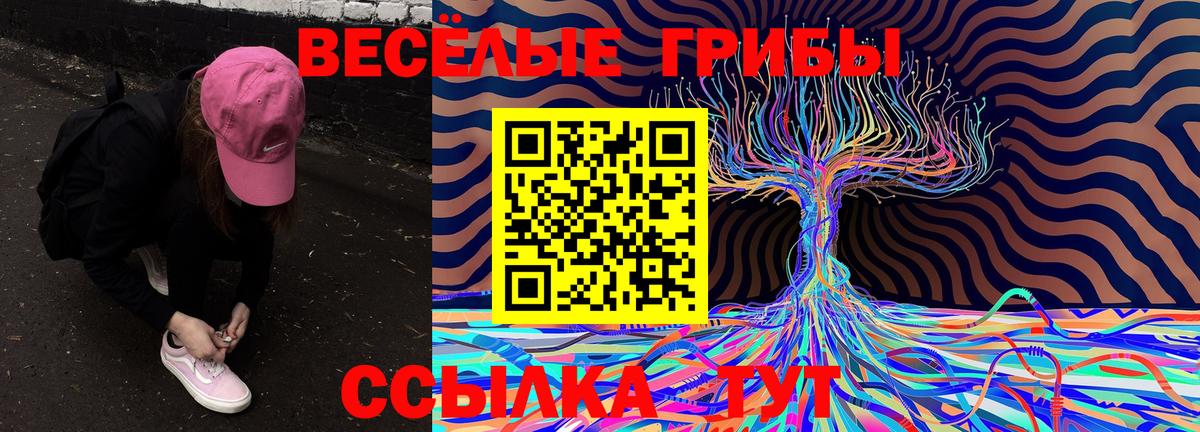 Галлюциногенные грибы Magic Shrooms  Вход с VPN  Новодвинск 